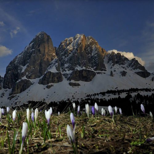 Impressioni della Oberhauserhütte a Lüsen e dintorni