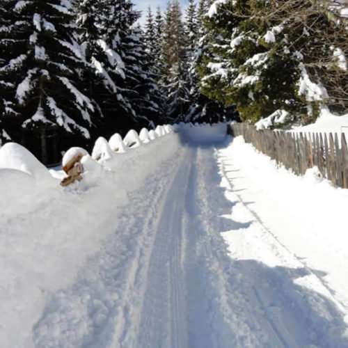 Impressionen von der Oberhauserhütte Südtirol und Umgebung