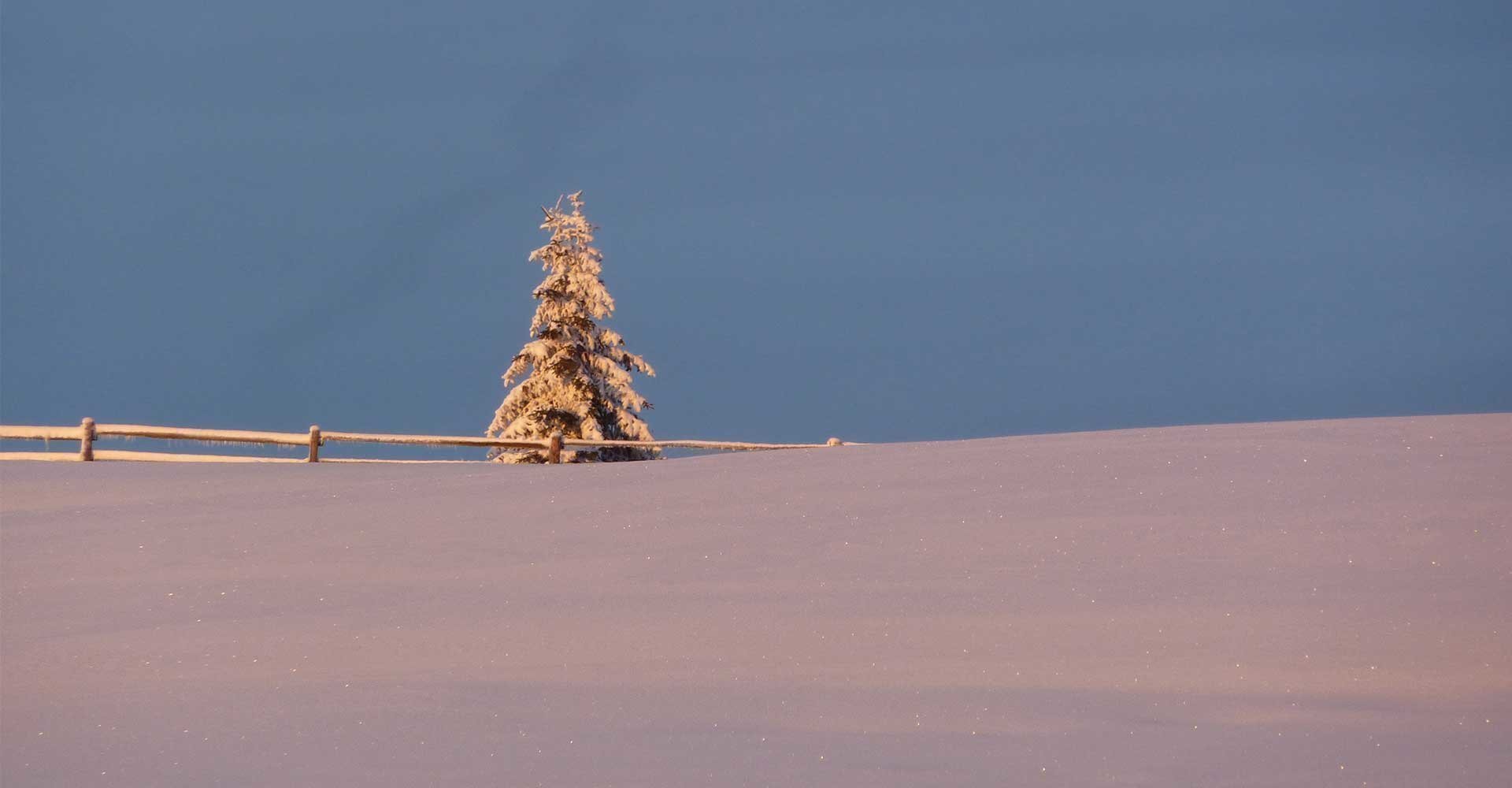 Lüsner Alm Urlaub