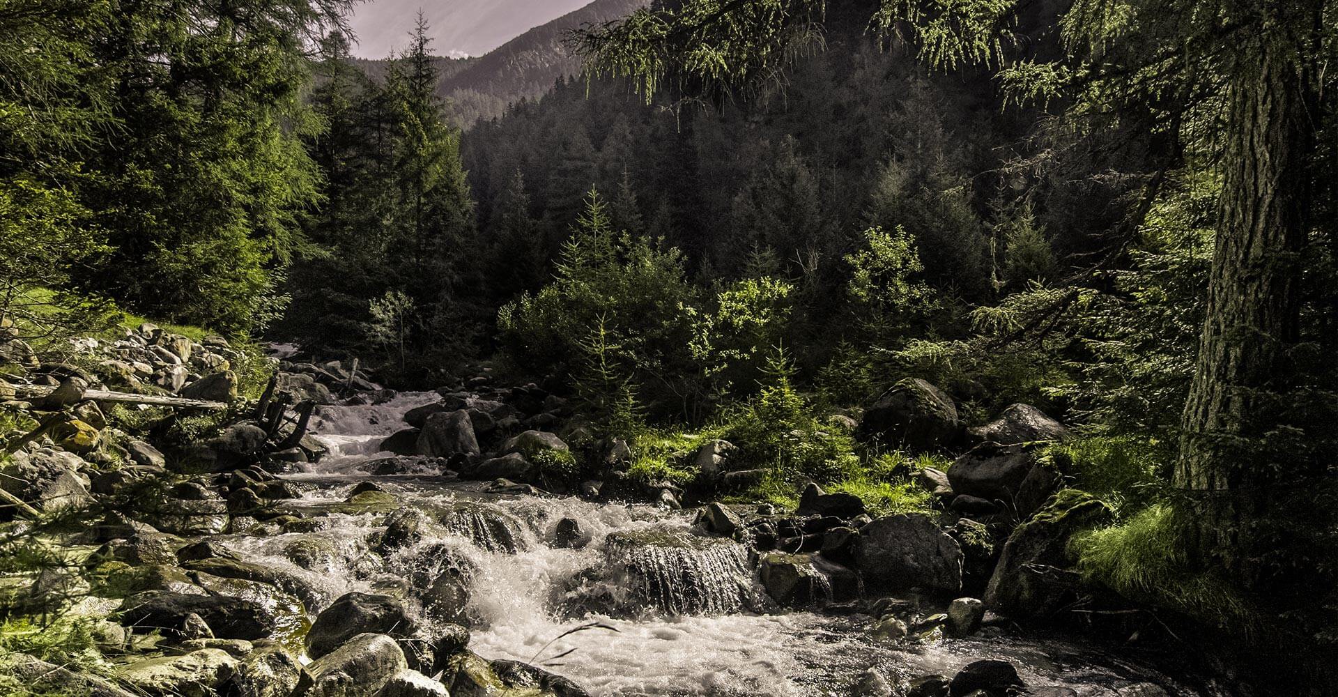 Peitler Kofel Südtirol