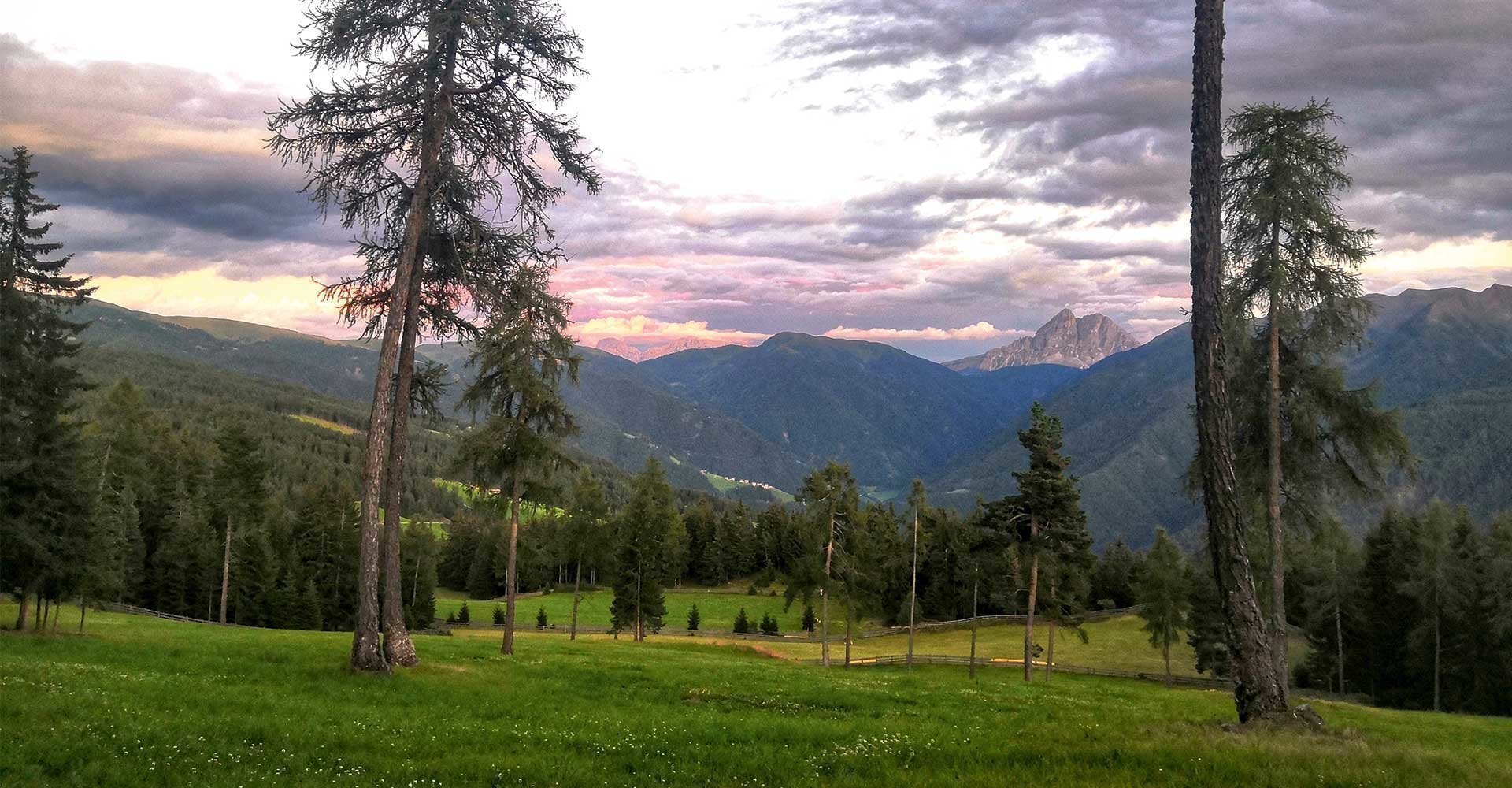 Farbenspiel auf der Rodenecker Alm