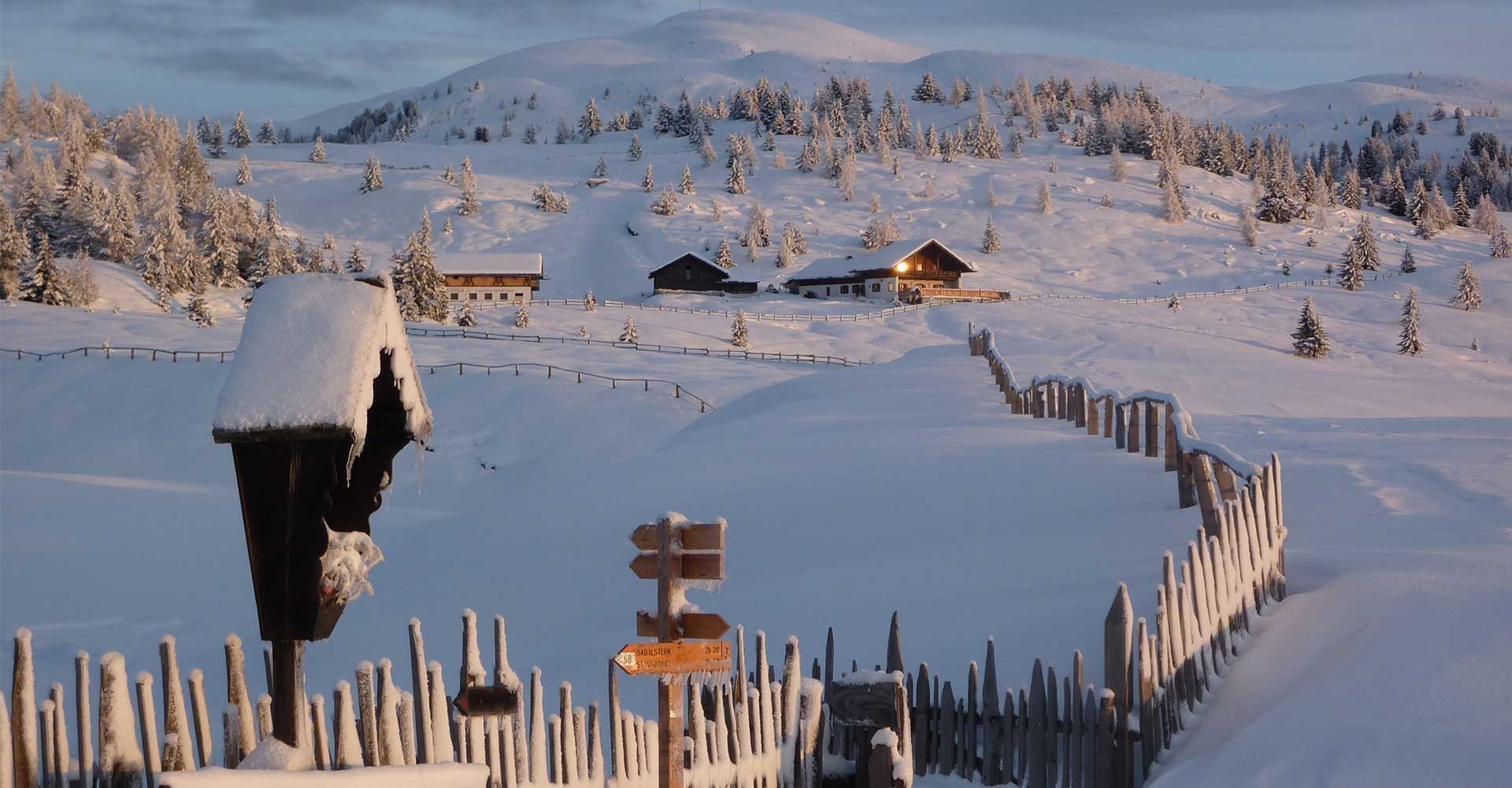 Rodenecker Alm Urlaub