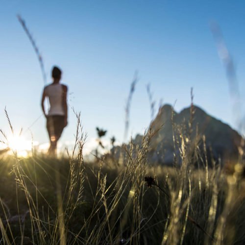 Oberhaushütte - Ein unvergesslicher Sommerurlaub auf der Alm in den Dolomiten