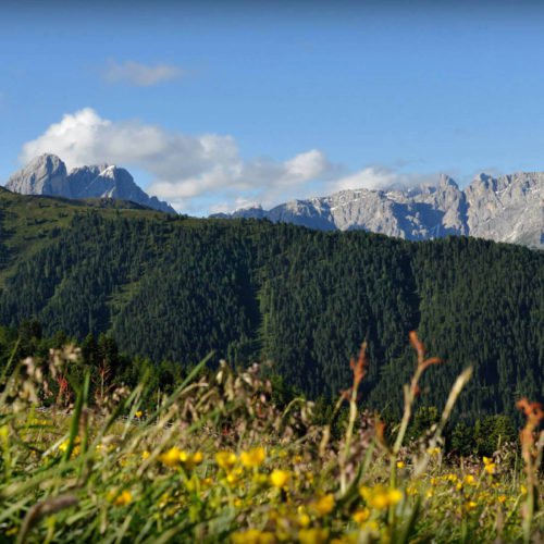 Oberhaushütte - Ein unvergesslicher Sommerurlaub auf der Alm in den Dolomiten